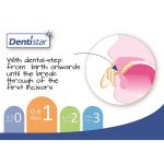 Size 1 Night Pacifier (Set of 2) (11) - Dentistar - Oceanokids