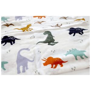 Swaddle_DinoWalk